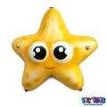 acqua-play-estrela